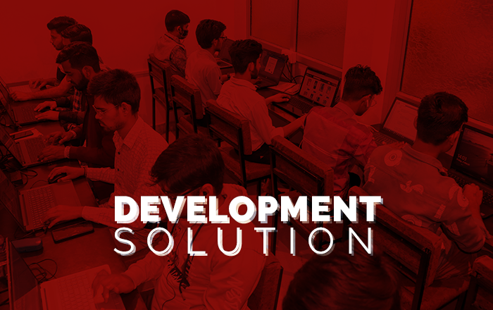 Development Solution