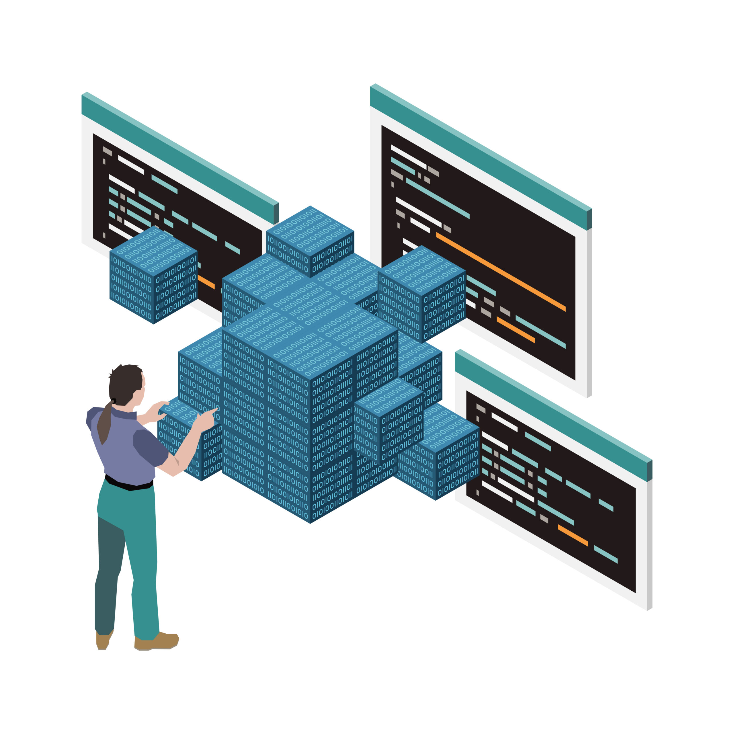 Web Software Development